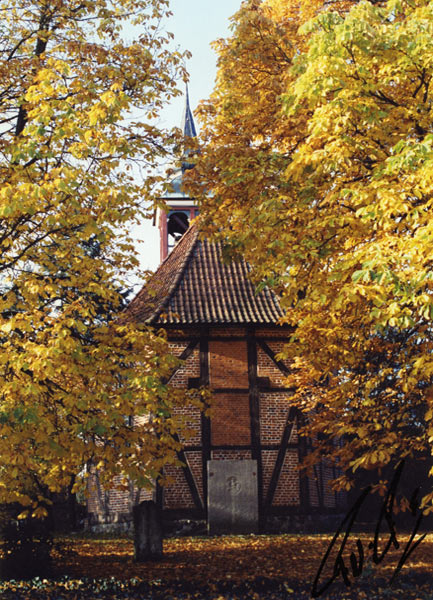 Johanniskirche Plön im Herbst - Foto: F. Tank